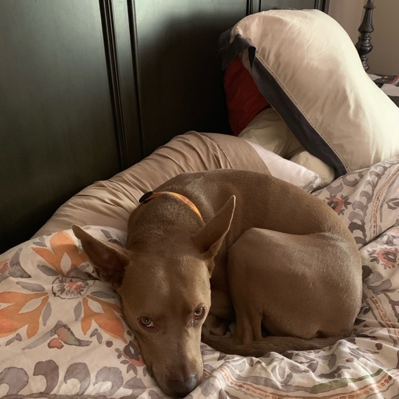 Meet your Posher, Gena - Picture 6 of 7